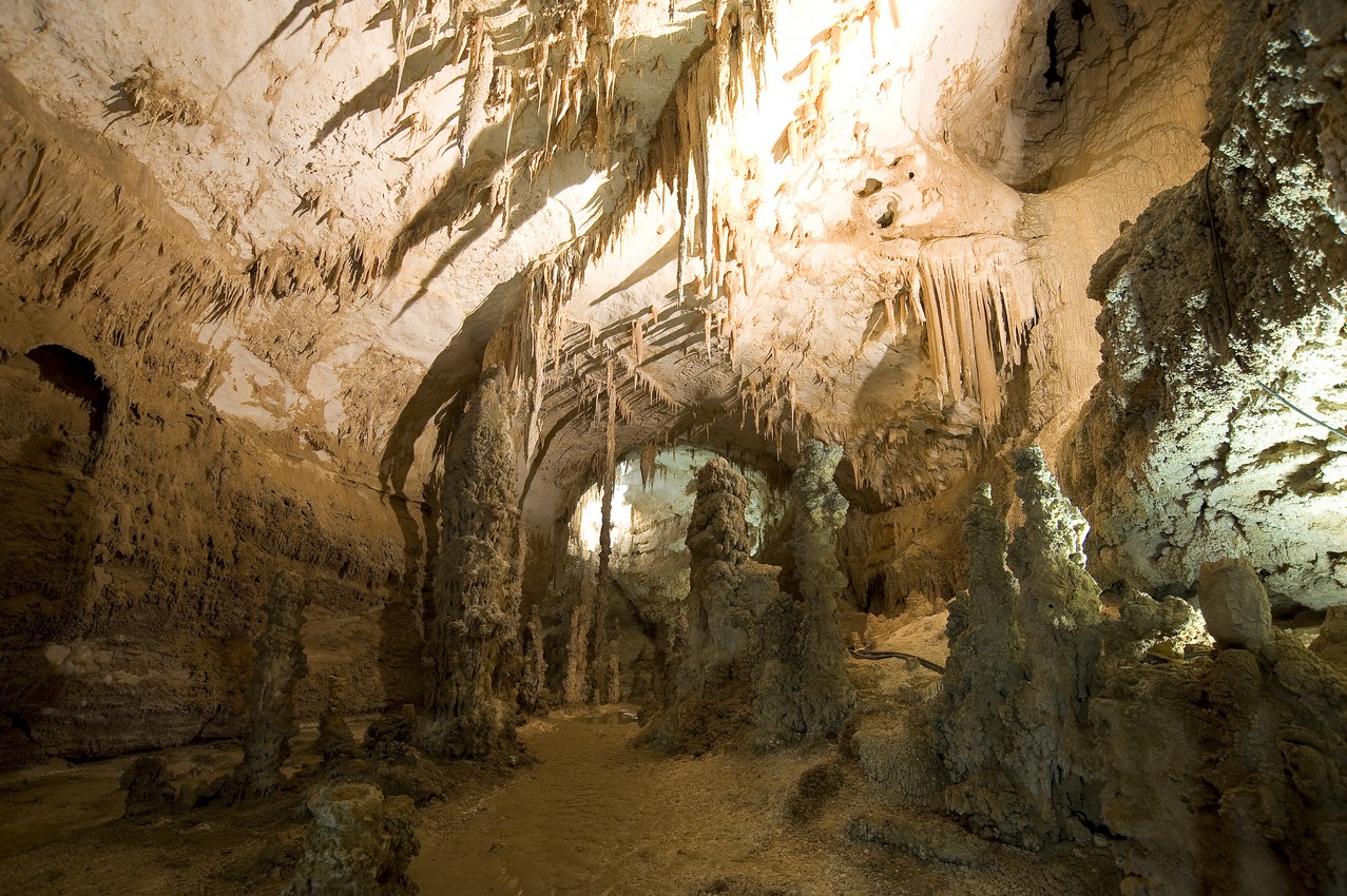 Speleologia